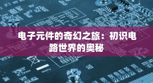 新闻中心 第398页