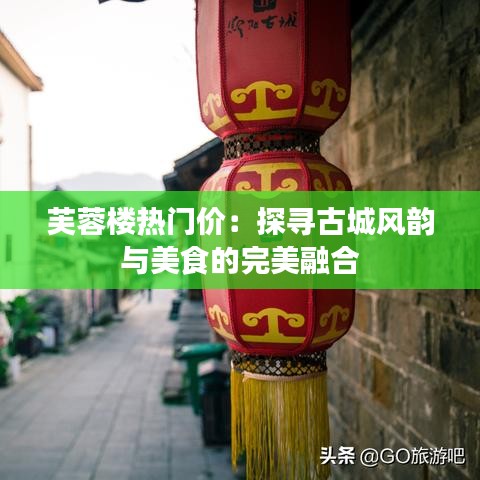 公司介绍 第399页