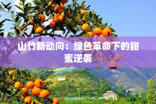 联系方式 第384页