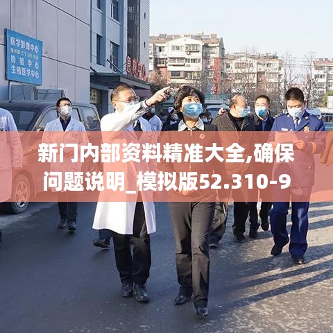 新门内部资料精准大全,确保问题说明_模拟版52.310-9