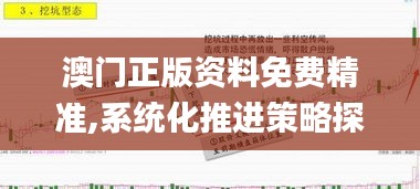澳门正版资料免费精准,系统化推进策略探讨_扩展版99.610-7