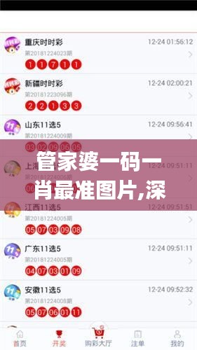 管家婆一码一肖最准图片,深入数据解析策略_进阶版7.140