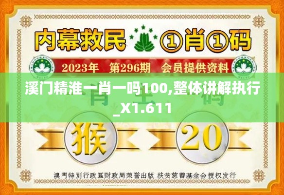 溪门精淮一肖一吗100,整体讲解执行_X1.611
