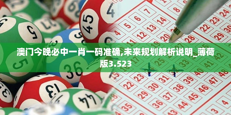 澳门今晚必中一肖一码准确,未来规划解析说明_薄荷版3.523