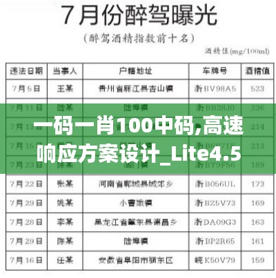 云屯鸟散 第4页