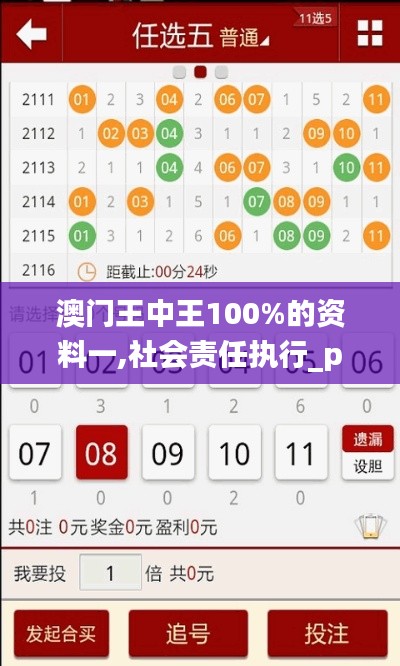 澳门王中王100%的资料一,社会责任执行_pro4.974