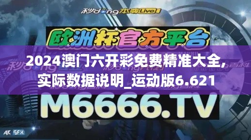 2024澳门六开彩免费精准大全,实际数据说明_运动版6.621