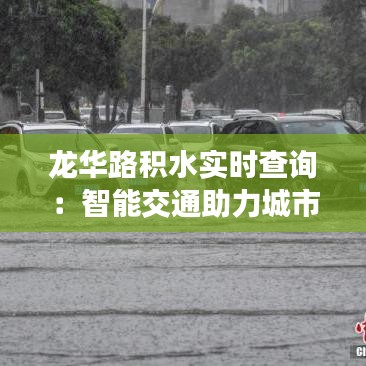 龙华路积水实时查询：智能交通助力城市出行无忧