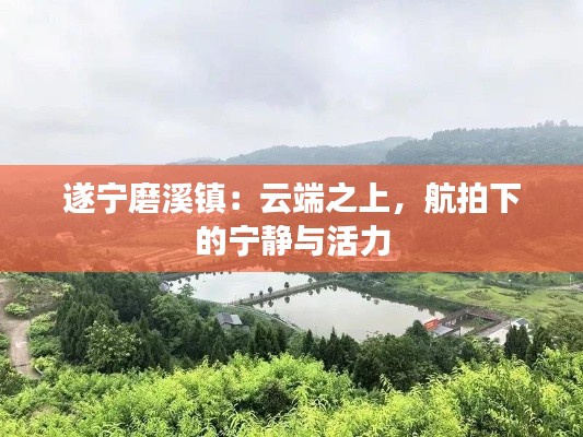 百不得一 第3页