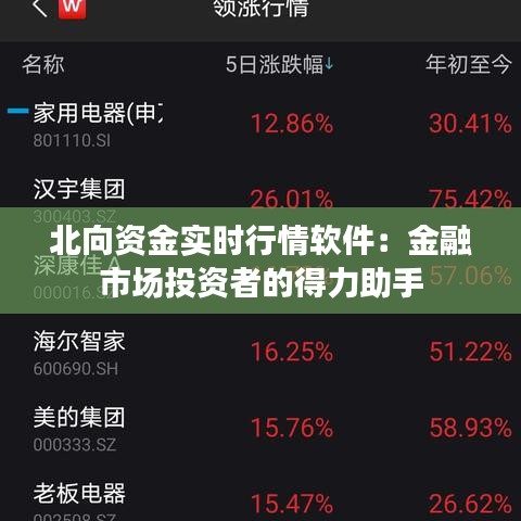 北向资金实时行情软件：金融市场投资者的得力助手