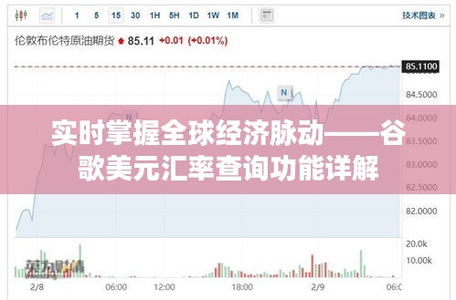 实时掌握全球经济脉动——谷歌美元汇率查询功能详解
