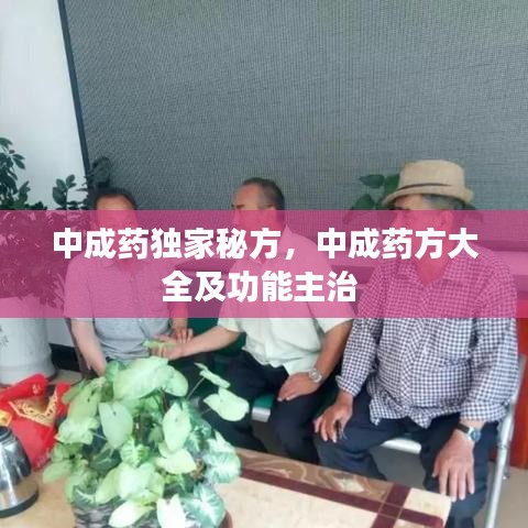 张袂成阴 第2页