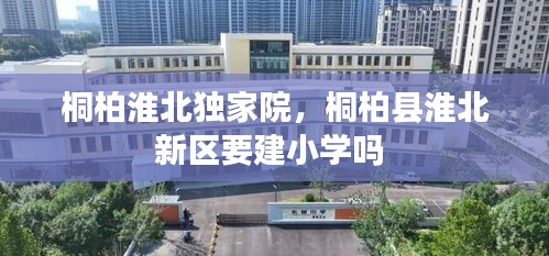 百不得一 第2页