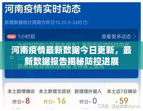 河南疫情最新数据今日更新，最新数据报告揭秘防控进展