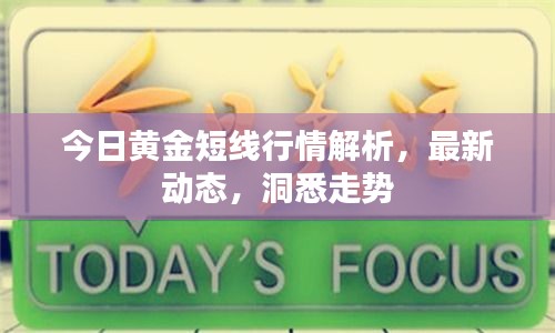 今日黄金短线行情解析，最新动态，洞悉走势