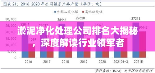 淤泥净化处理公司排名大揭秘，深度解读行业领军者
