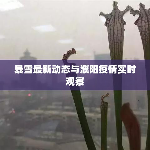 联系方式 第15页