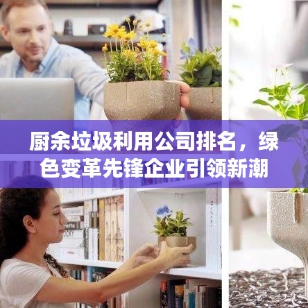 ic芯片采购 第8页