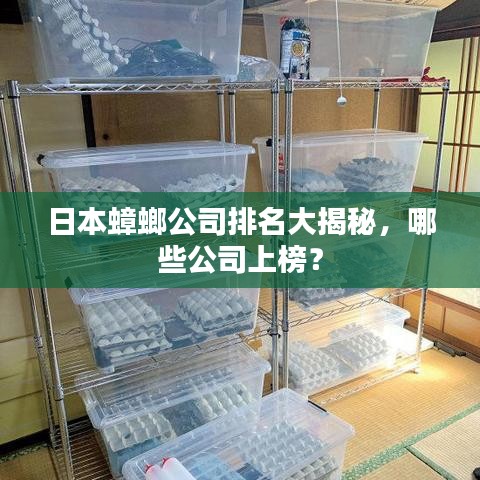 其他配件采购 第6页