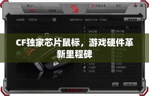 展翅欲飞