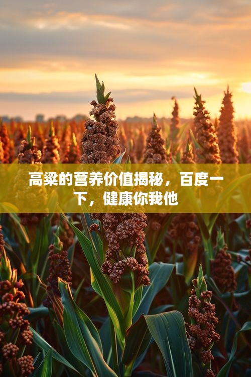 公司介绍 第3页